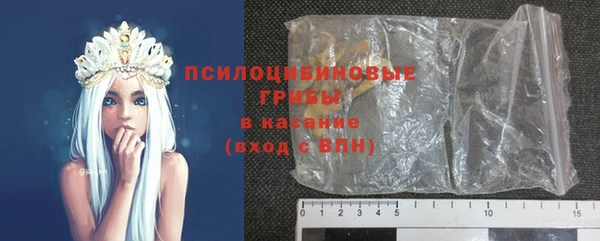 ПСИЛОЦИБИНОВЫЕ ГРИБЫ Богородицк