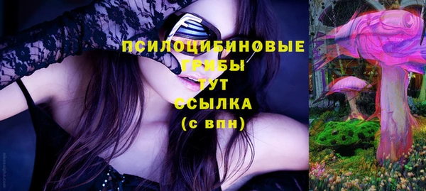 МДМА Бородино