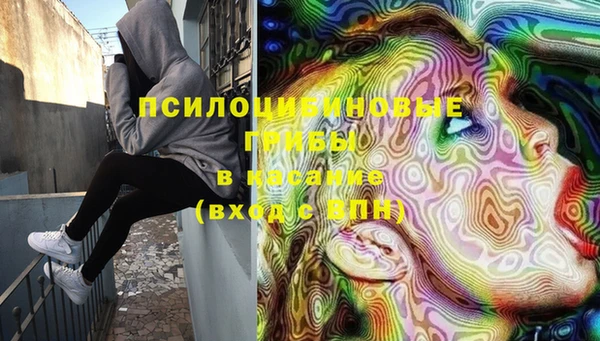ешки Богданович